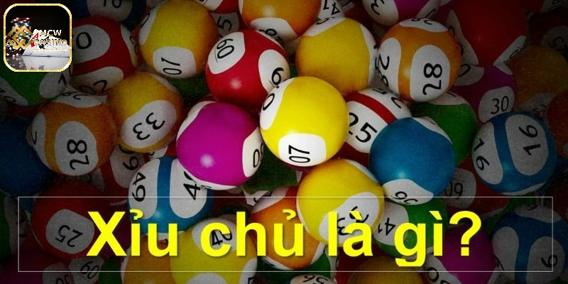 Giải đáp thuật ngữ xỉu chủ là gì?