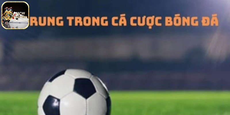 Kinh nghiệm đánh kèo rung MCW Casino hiệu quả